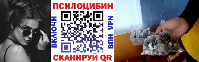 Псилоцибиновые грибы прущие грибы Куса
